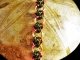 4 Winds Bracelet - Handmaden Design LLC Copper and green & magenta 4 Winds chainmaille bracelet - Handmaden Designs LLC