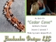 Cedar Cove copper and pearl bracelet by Handmaden Designs LLC