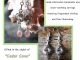 Lora - Handmaden Designs LLC Sterling silver, Dragondust, and Chalcedony earrings by Handmaden Designs LLC