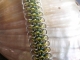 Crotalus (bracelet) - Handmaden Designs LLC Sterling silver, lime green, and teal Crotalus bracelet by Handmaden Designs LLC