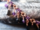 Copper, black, and purple Segmented Byzantine anklet by Handmaden Designs LLC