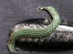 Dragonscale on the Bias - Handmaden Designs LLC Sterling silver and aqua and lime green enameled copper Dragonscale bias bracele
