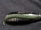 Dragonscale on the Bias - Handmaden Designs LLC Sterling silver and aqua and lime green enameled copper Dragonscale bias bracele