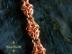 Copper Gnomish chainmaille bracelet - Handmaden Designs LLC