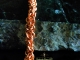 Half Persian 3in1 Flip (Bracelet) - Handmaden Designs LLC Copper Half Persian 3in1 Flip bracelet - Handmaden Designs LLC