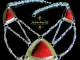 Maureen - Handmaden Designs LLC Sterling silver Art Deco Statement Necklace with Red Coral and Black Spinel