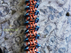Copper and enameled copper Nixie Chain chainmaille bracelet