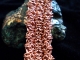Orc Sheet bracelet - Handmaden Designs LLC Copper Orc Sheet bracelet