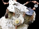 Savannah - Handmaden Designs LLC Copper, Garnet, and watch part Steampunk and Barrelweave chainmaille necklace