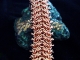 Copper Ilkorin Sheet chainmaille bracelet