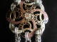 Loretta Sterling silver Half Persian 3in1 Cherry Quartz Victorian button bracelet